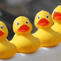 Arc Data: Key tips for successfully venturing into charity cold mail – getting your campaign ducks in a row